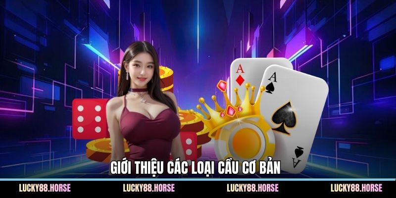 Giới thiệu các loại cầu cơ bản 
